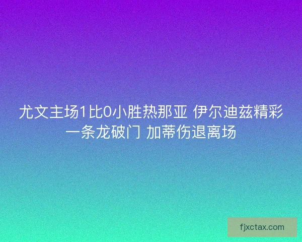 尤文主场1比0小胜热那亚 伊尔迪兹精彩一条龙破门 加蒂伤退离场